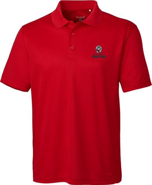 Lewis University Ice Polo